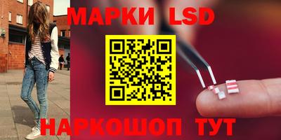 мдпв Донской