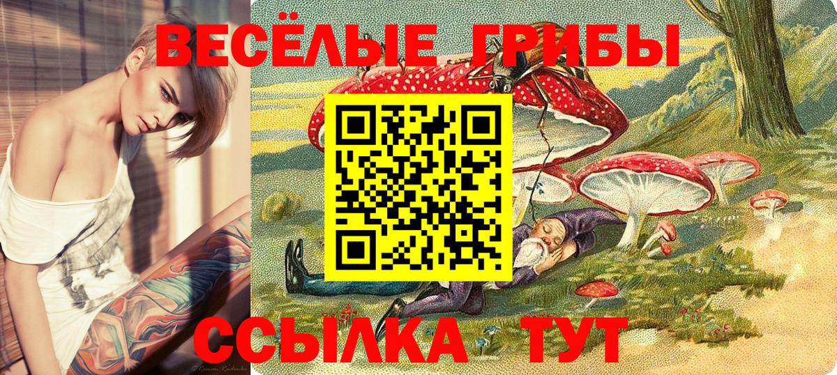 Киселёвск  Галлюциногенные грибы MAGIC MUSHROOMS  Вход с VPN 